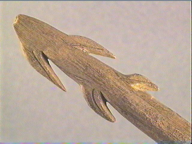 Harpon (à deux rangs de barbelures)_3