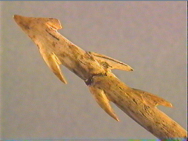 Harpon (à deux rangs de barbelures)_3