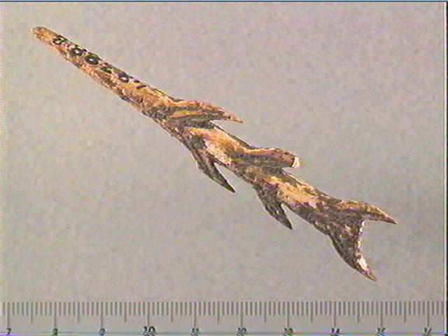Harpon (à deux rangs de barbelures)_0