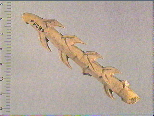 Harpon (à deux rangs de barbelures)_0