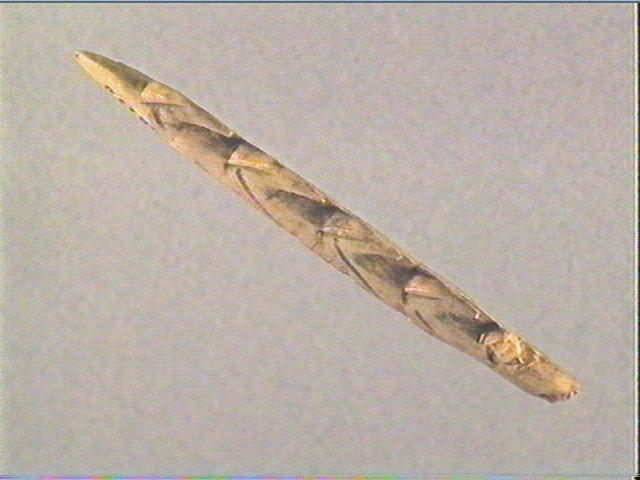 Harpon (à deux rangs de barbelures)_1