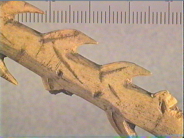 Harpon (à deux rangs de barbelures)_5