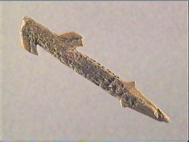 Harpon (à deux rangs de barbelures)_2