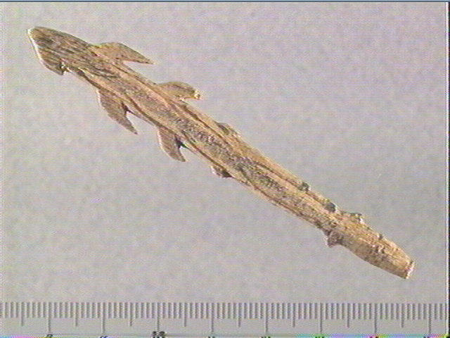 Harpon (à deux rangs de barbelures)_0