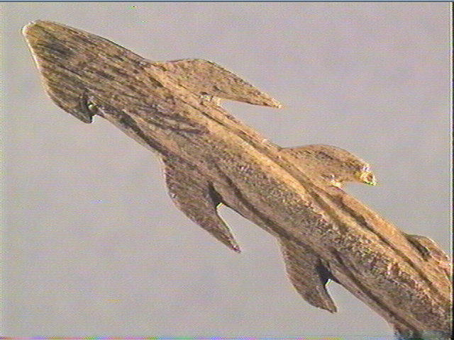 Harpon (à deux rangs de barbelures)_4