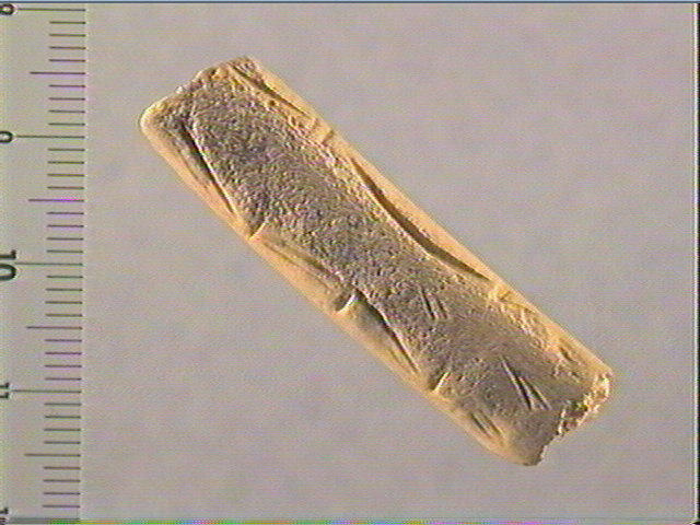 Baguette demi-ronde_0