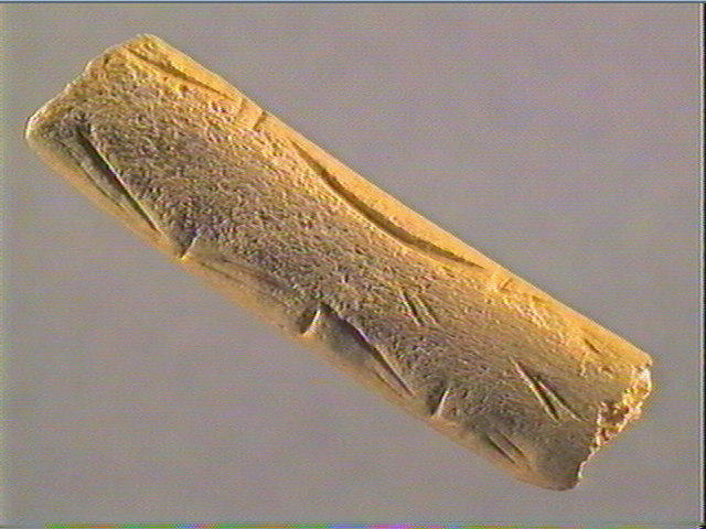 Baguette demi-ronde_3
