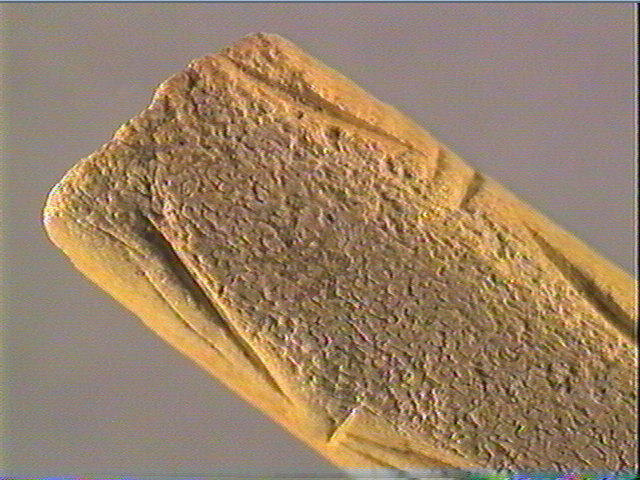 Baguette demi-ronde_4