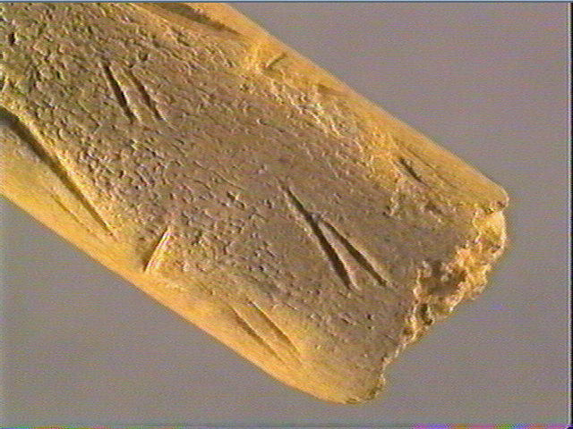 Baguette demi-ronde_6