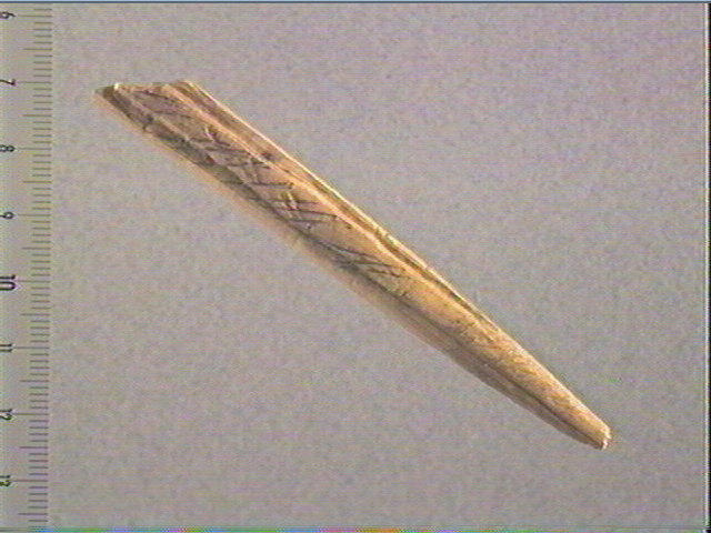 Baguette demi-ronde_0