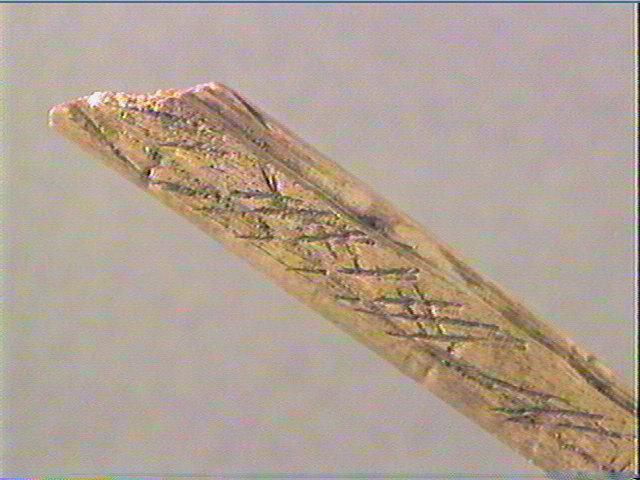 Baguette demi-ronde_3