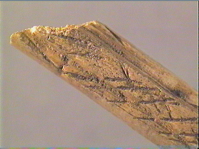 Baguette demi-ronde_4
