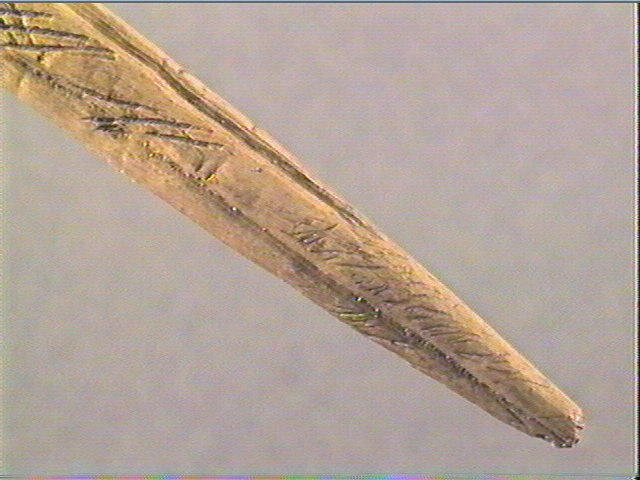 Baguette demi-ronde_6