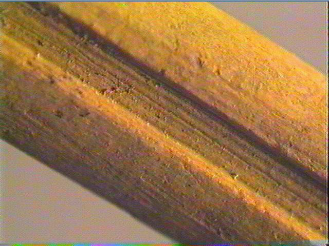 Baguette demi-ronde_4