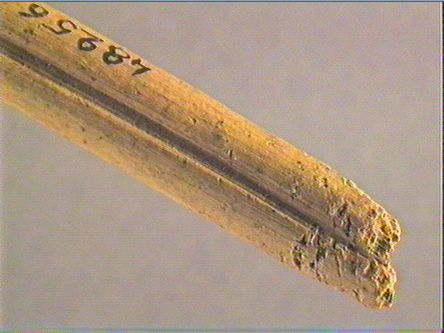 Baguette demi-ronde_6