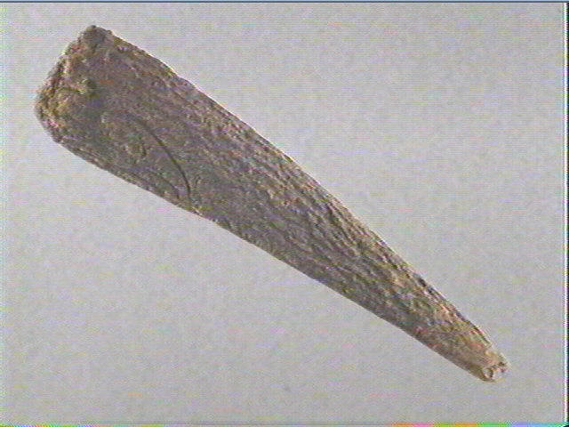 Coin_1