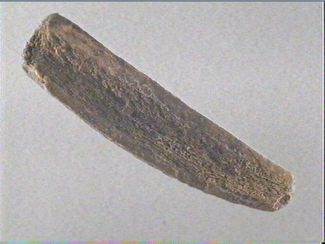 Coin_2