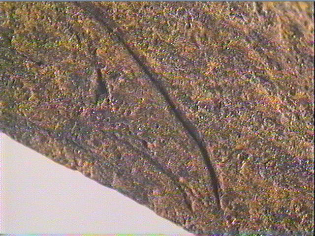 Coin_5