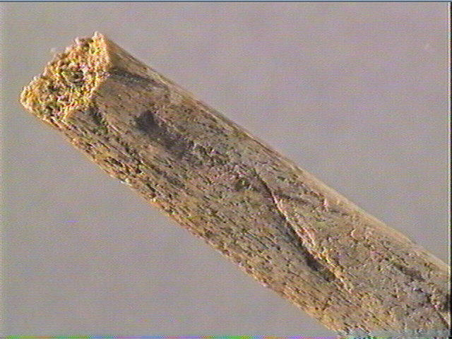 Pointe_3