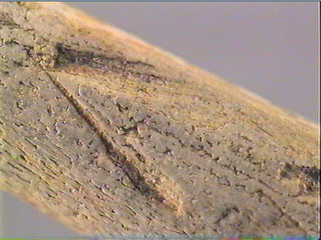 Pointe_6