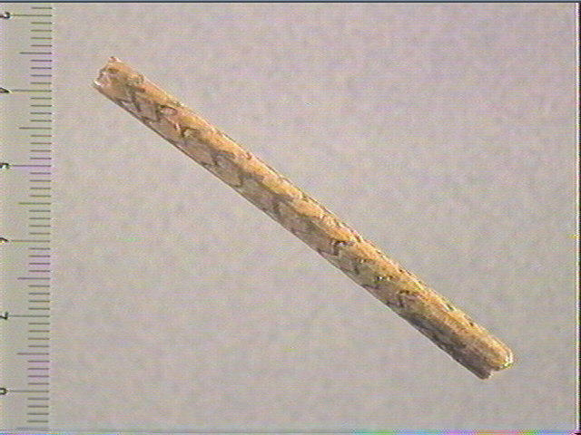 Baguette_0