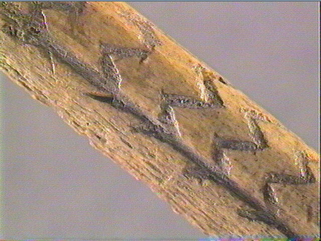 Baguette_5