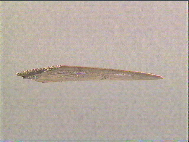 Lissoir_1