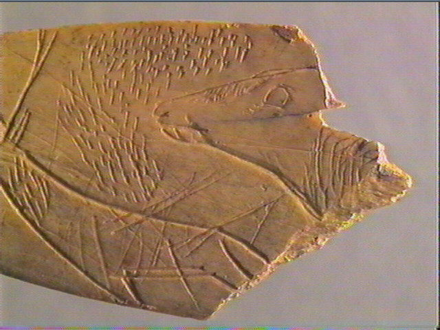 Lissoir_5