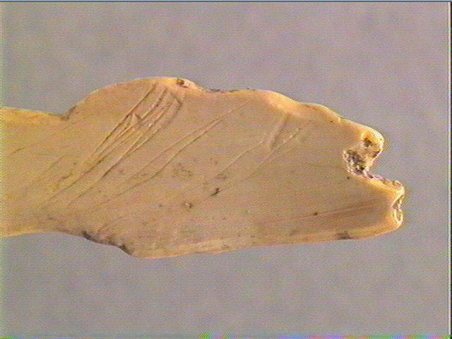 Lissoir (2), pendeloque_1