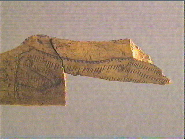 Os indéterminé_3