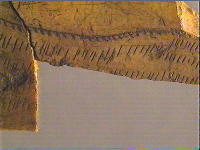 Os indéterminé_6