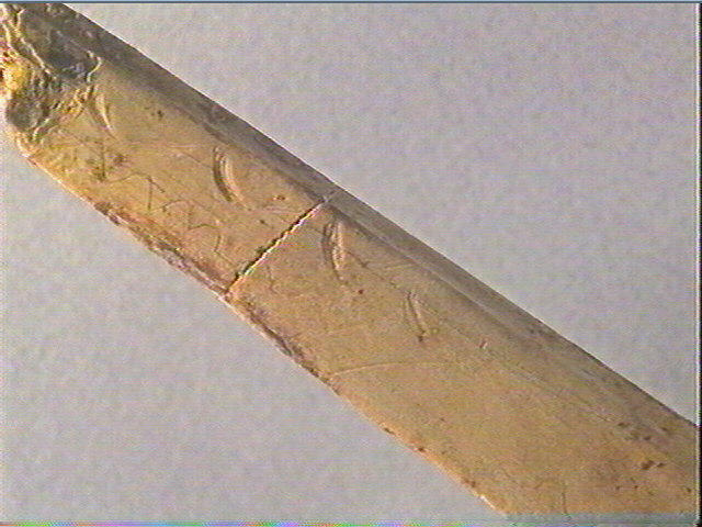 Côte_2