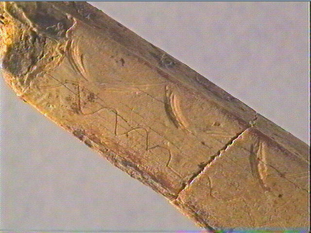Côte_3