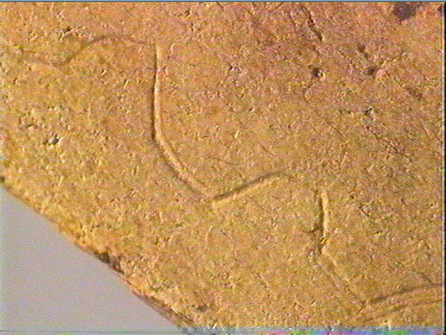 Côte_5
