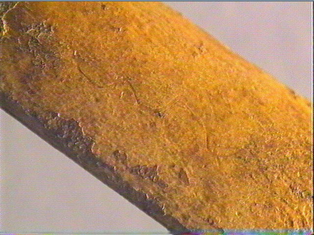 Côte_6