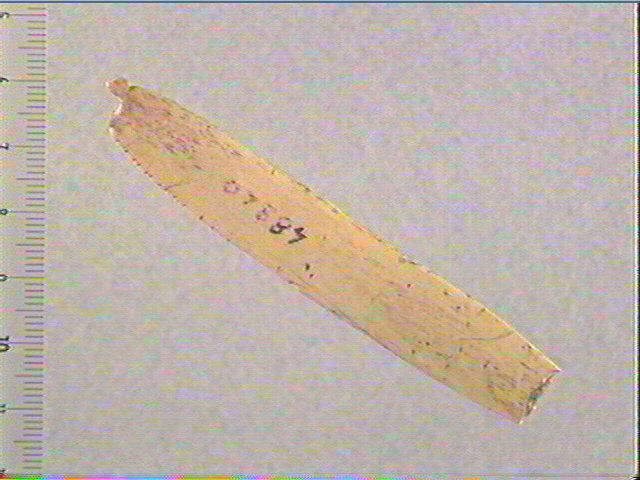 Lissoir, pendeloque (perforé)_0