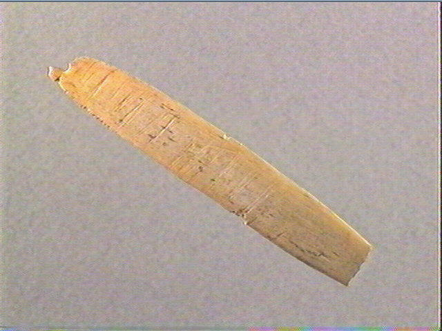 Lissoir, pendeloque (perforé)_2
