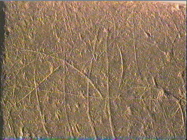 Galet (plat)_5