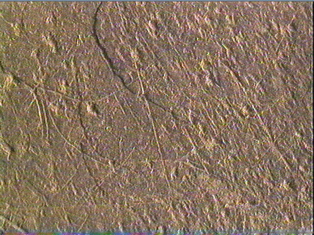 Galet (plat)_6