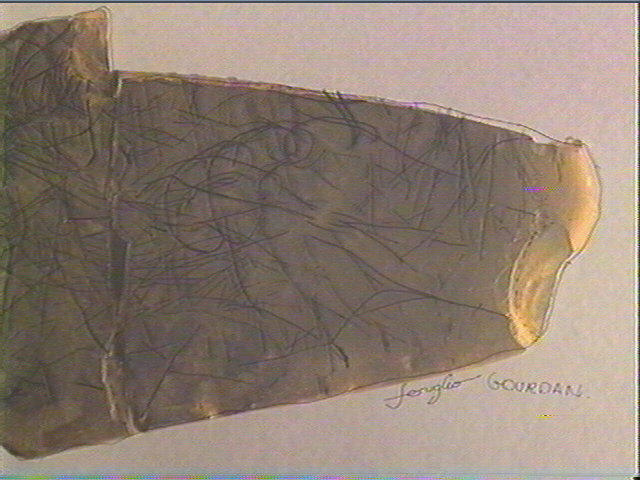 Galet (3)_5