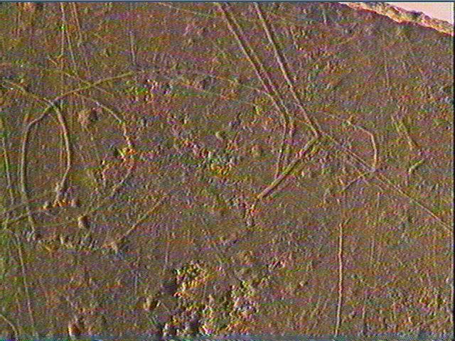 Galet (3)_6