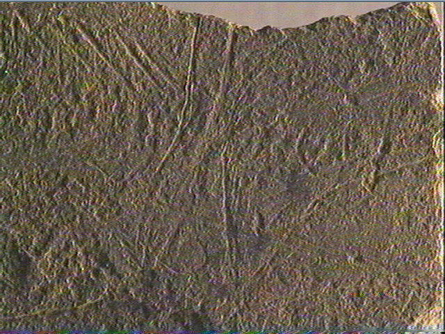 Plaquette (fragment)_5