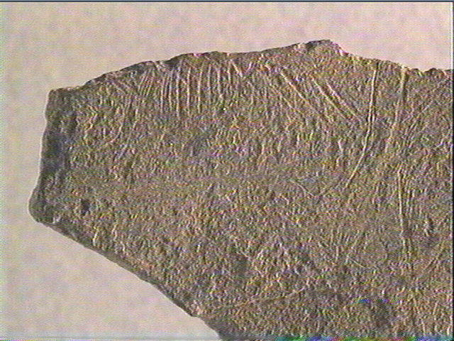 Plaquette (fragment)_3