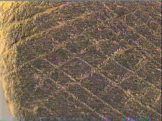 Plaquette (fragment)_4