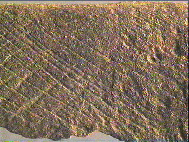 Plaquette (fragment)_5