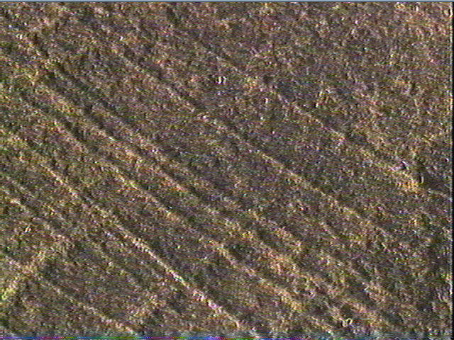 Plaquette (fragment)_6