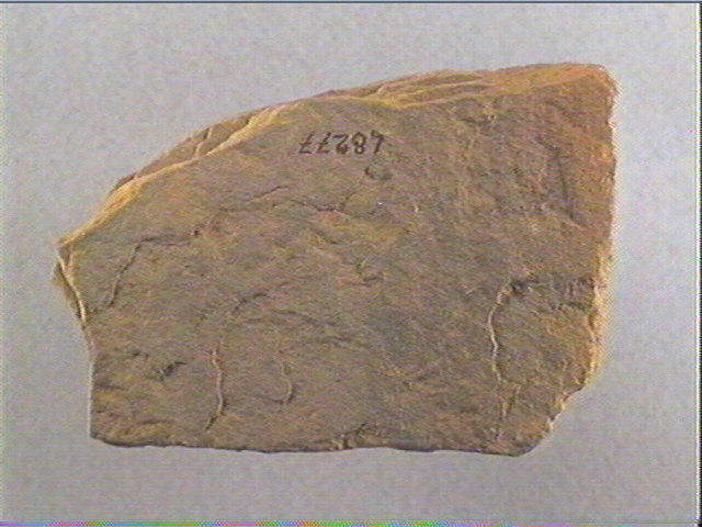 Plaquette (fragment)_2