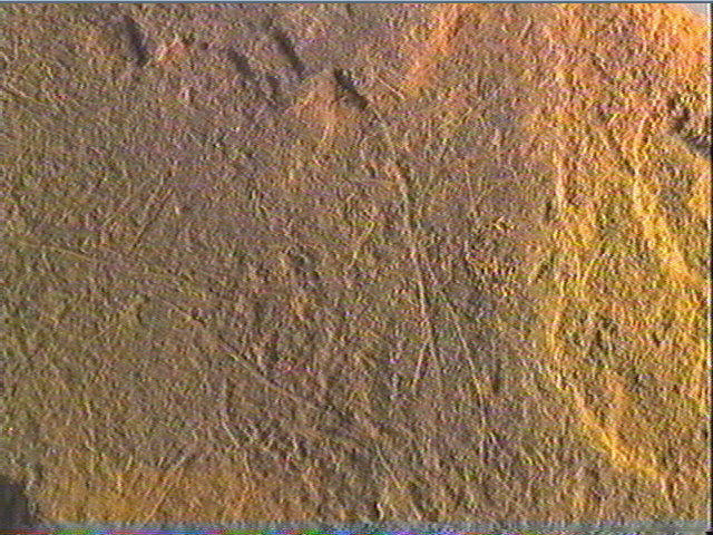 Plaquette (fragment)_3