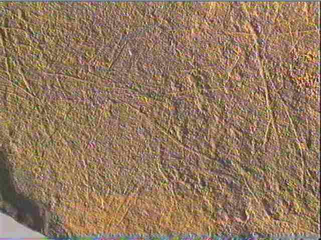 Plaquette (fragment)_5