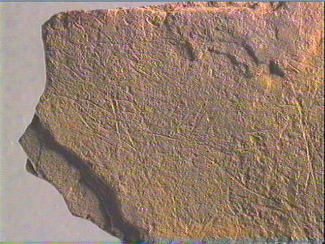 Plaquette (fragment)_6